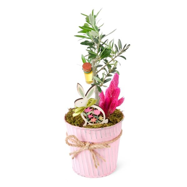 Pembe Metal Saksıda Zeytin Aranjmanı