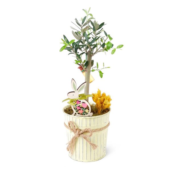 Sarı Metal Saksıda Zeytin Aranjmanı